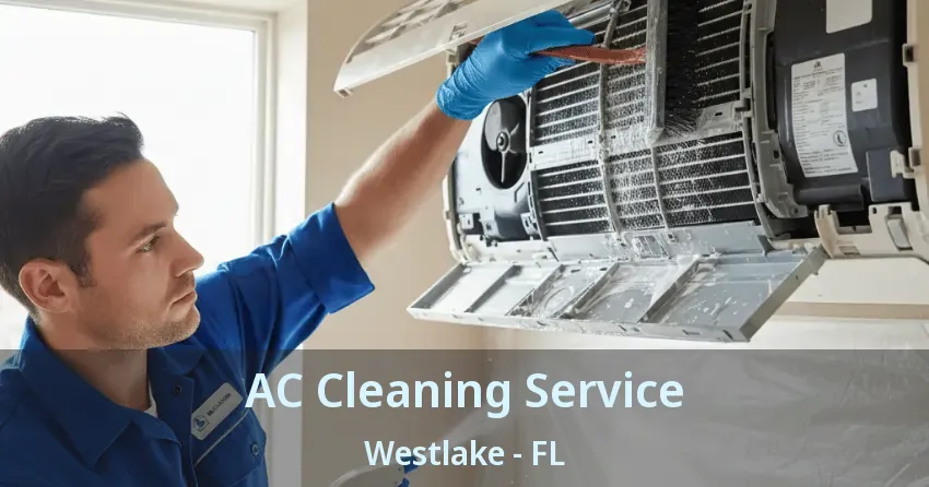 AC Cleaning Service Westlake - FL