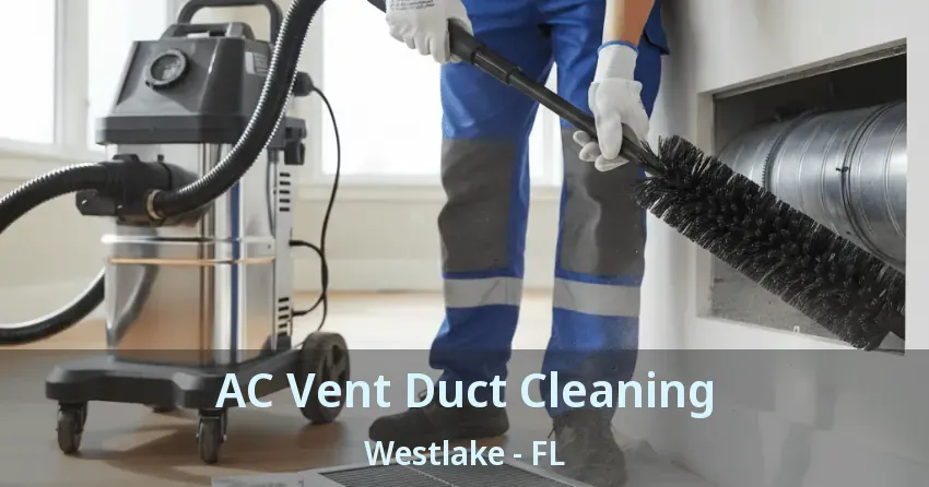 AC Vent Duct Cleaning Westlake - FL