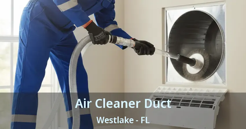 Air Cleaner Duct Westlake - FL