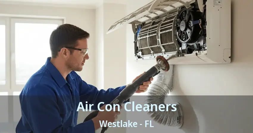 Air Con Cleaners Westlake - FL