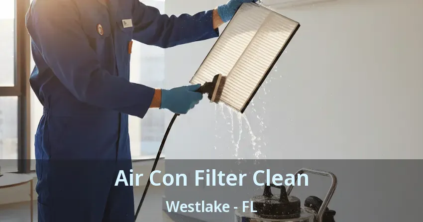 Air Con Filter Clean Westlake - FL
