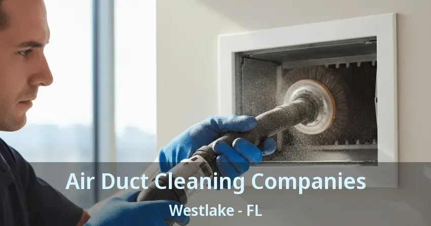 Air Duct Cleaning Companies Westlake - FL Air Duct Cleaning Companies Westlake - FL