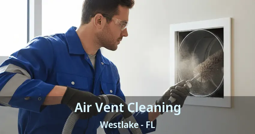 Air Vent Cleaning Westlake - FL