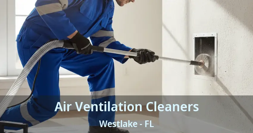 Air Ventilation Cleaners Westlake - FL