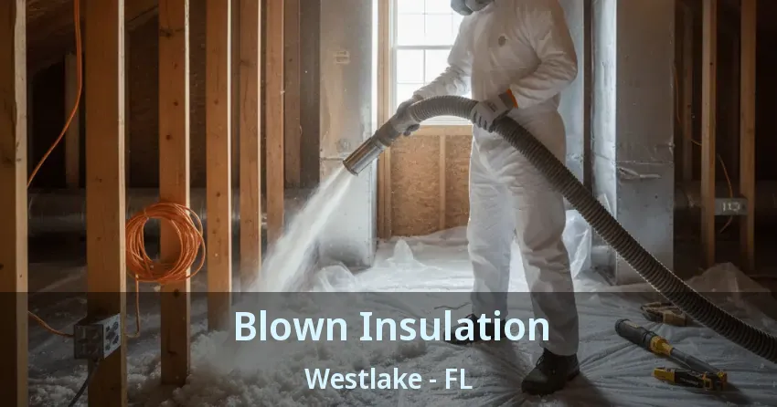 Blown Insulation Westlake - FL