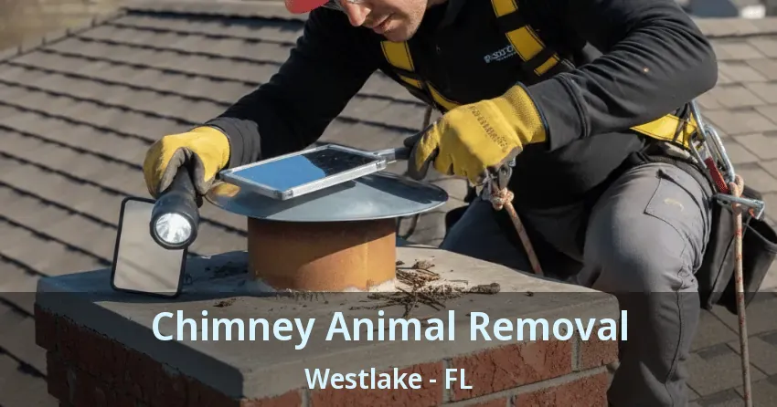 Chimney Animal Removal Westlake - FL