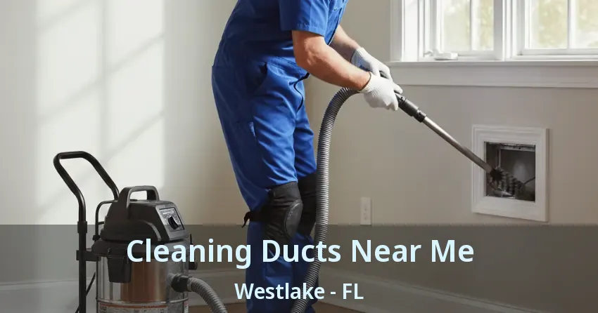 Cleaning Ducts Near Me Westlake - FL