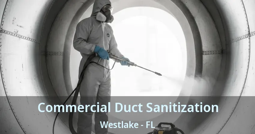 Commercial Duct Sanitization Westlake - FL