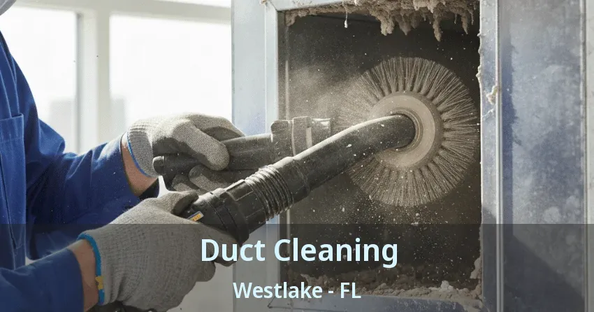 Duct Cleaning Westlake - FL
