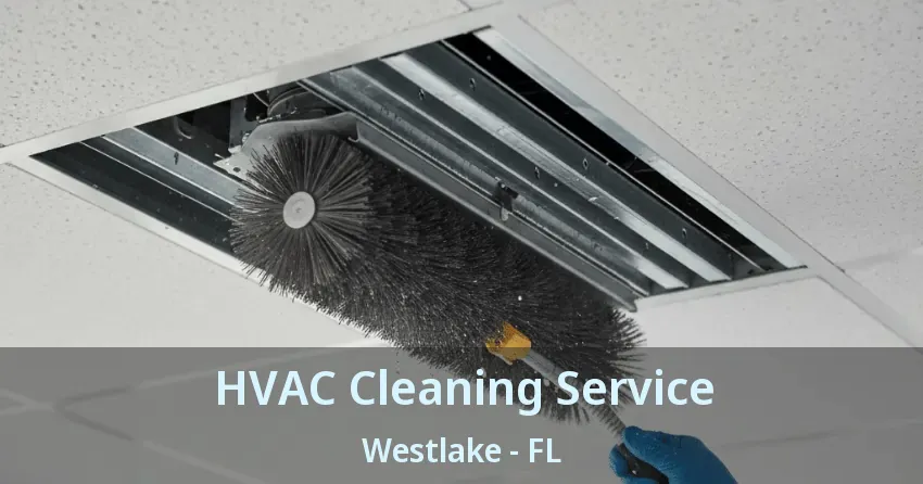 HVAC Cleaning Service Westlake - FL HVAC Cleaning Service Westlake - FL