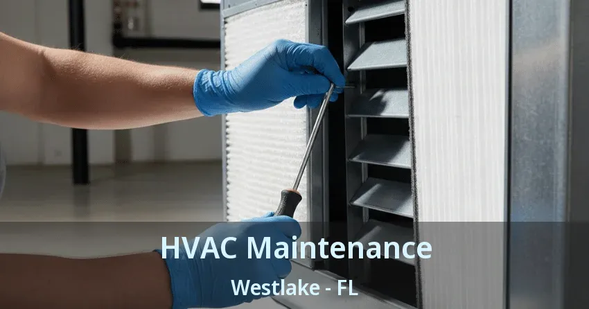 HVAC Maintenance Westlake - FL HVAC Maintenance Westlake - FL