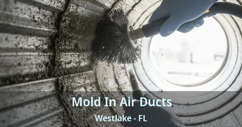 Mold In Air Ducts Westlake - FL